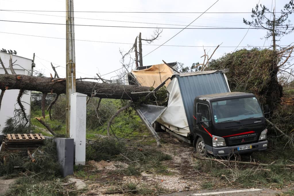 A large tree fell onto a vehicle due to the passage of Storm Kristin, in Leiria, on January 28, 2026. Mainland Portugal is being affected by the effects of several storms, with rain, wind, snow, and rough seas. Several warnings have been issued by the Portuguese Institute for Sea and Atmosphere (IPMA). Photo: PAULO CUNHA/LUSA