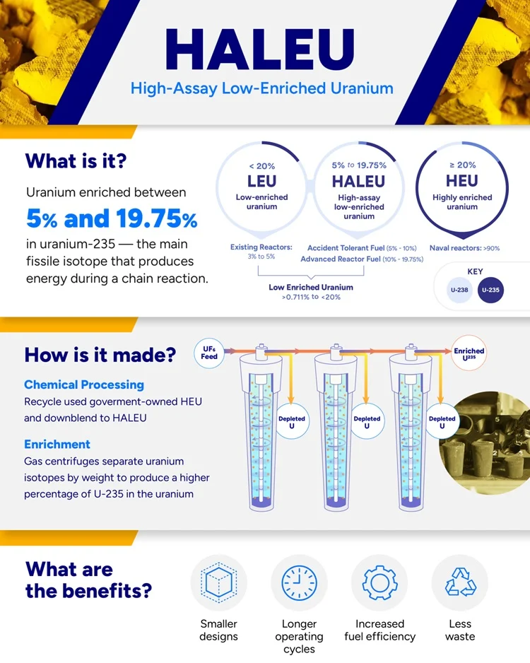 HALEU Nuclear Fuel Partnership