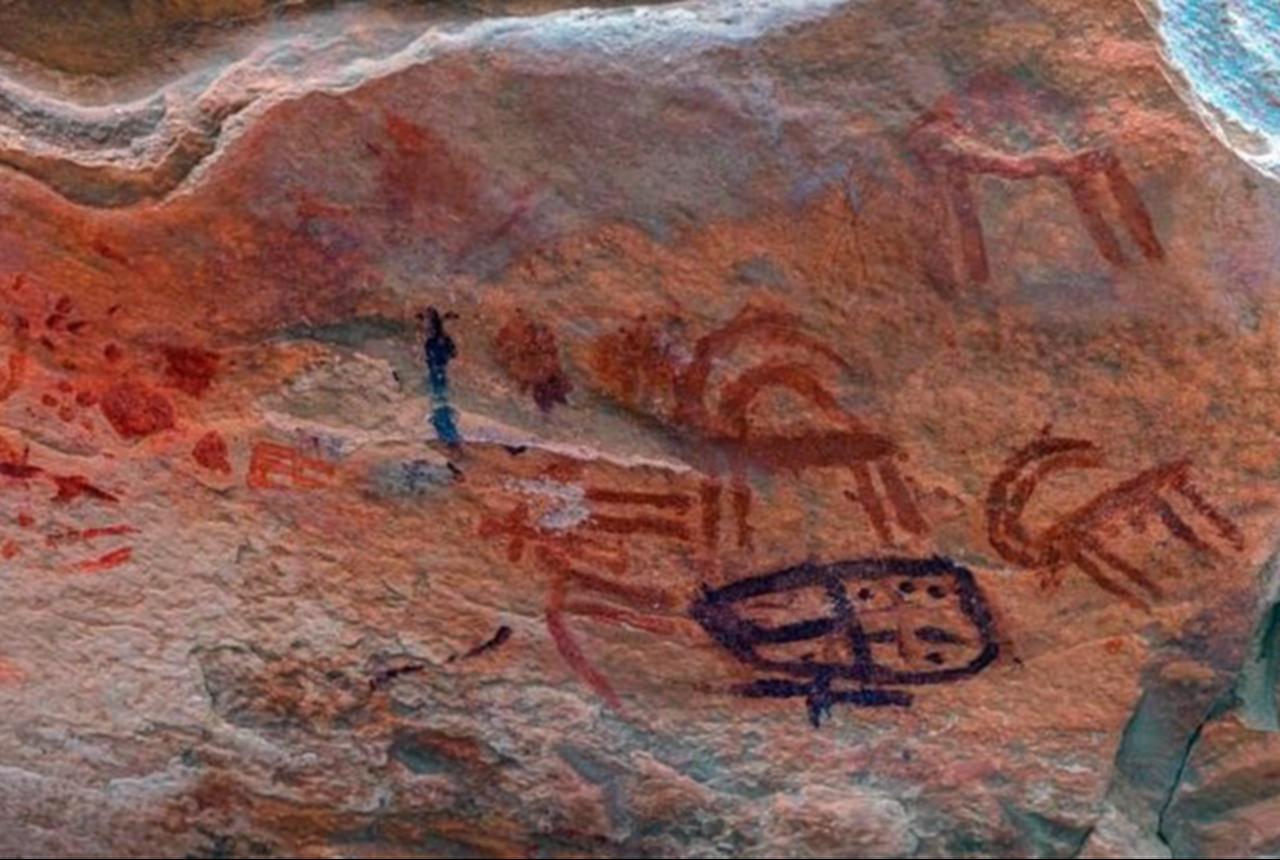 Ancient Sinai Rock Art Discovered in Egypt Desert