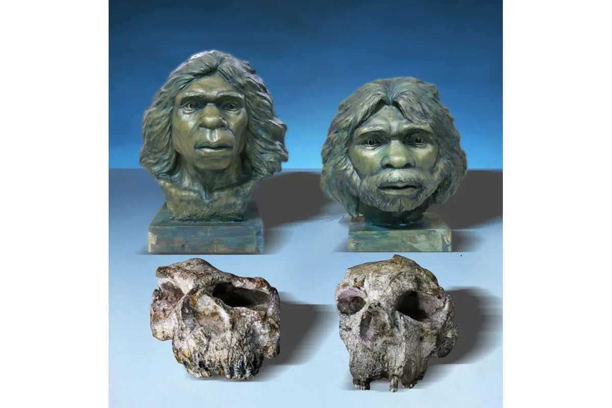 Homo erectus in Asia