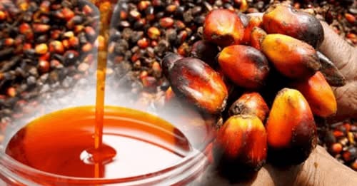 Nigeria’s palm oil 