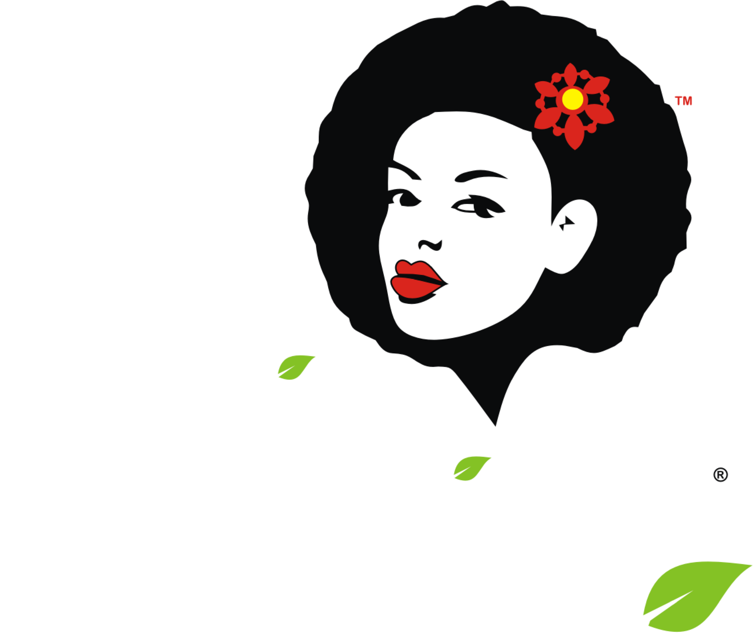 Operations Officer African Naturalistas Lagos job,Office operations manager working with business data and reports in a Lagos company