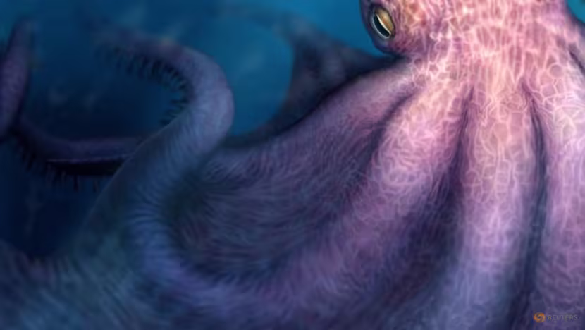 Kraken' fossils show enormous, intelligent octopuses were top predators in Cretaceous sea
