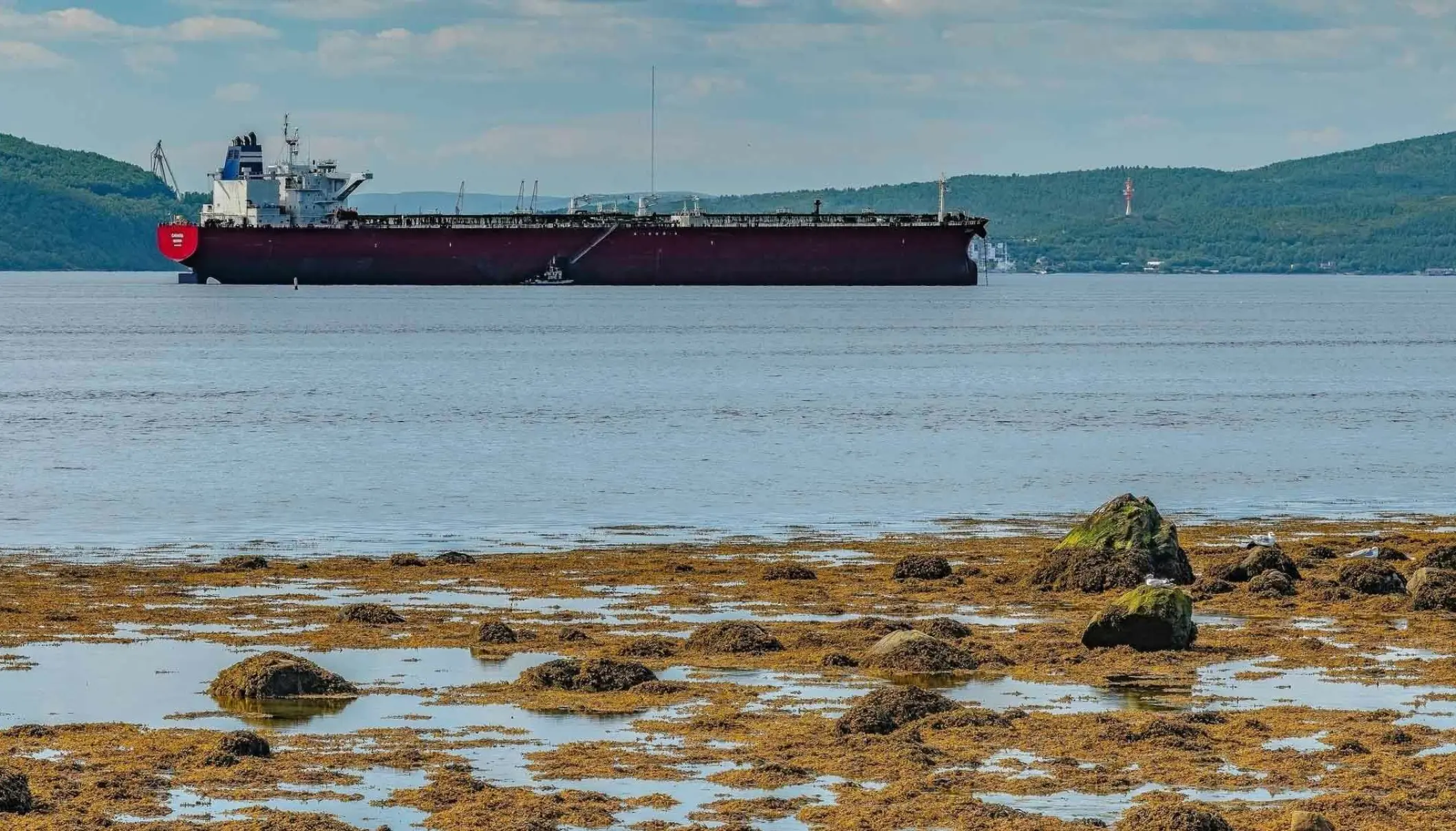 EU announces Russian oil price cap in new sanctions plan