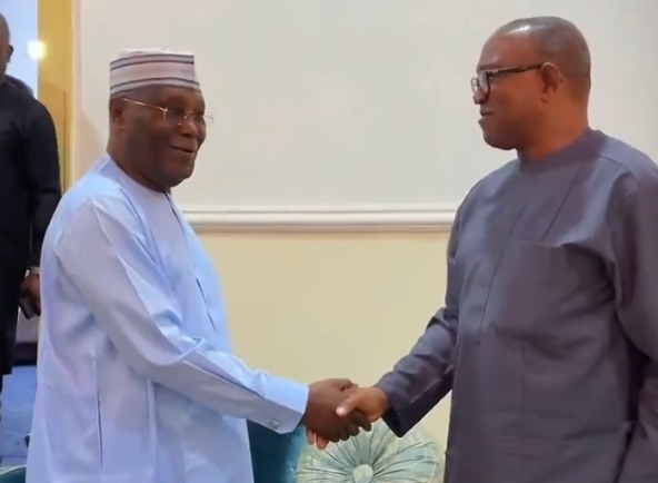 Peter Obi's no-show at ADC emergency meeting deepens opposition tensions