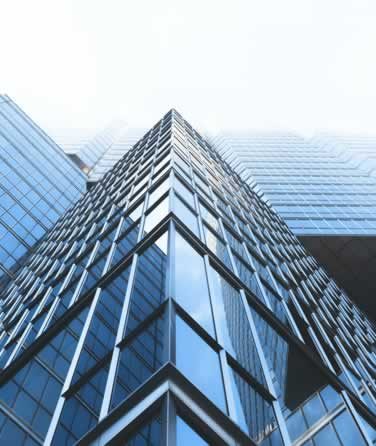  Domeo Resources International