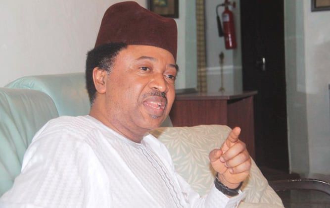 Shehu Sani ADC protest INEC Chair