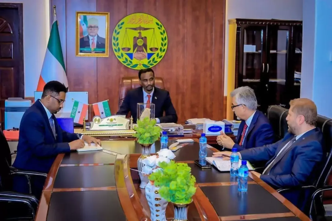 Turkey role Somalia regional leader ouster