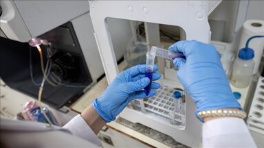 Poland raises Gaza humanitarian concerns, UN troop safety in Lebanon in talks with Israel