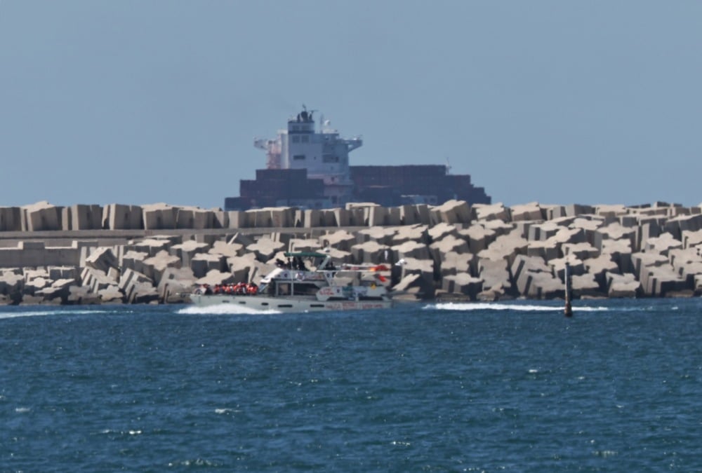 Activists Detained as Israel Intercepts Gaza Aid Flotilla
