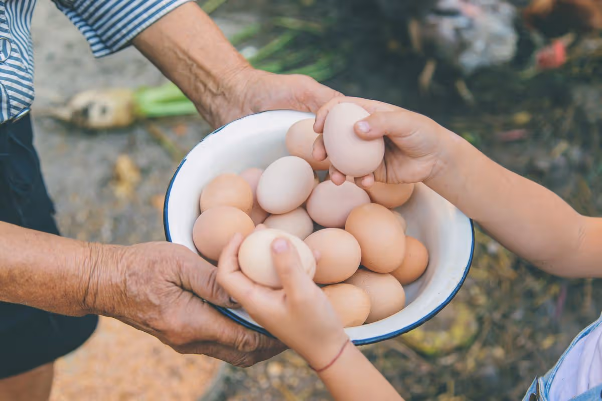 Eating this food 5 times a week could slash Alzheimer's disease risk 'by 27%' 