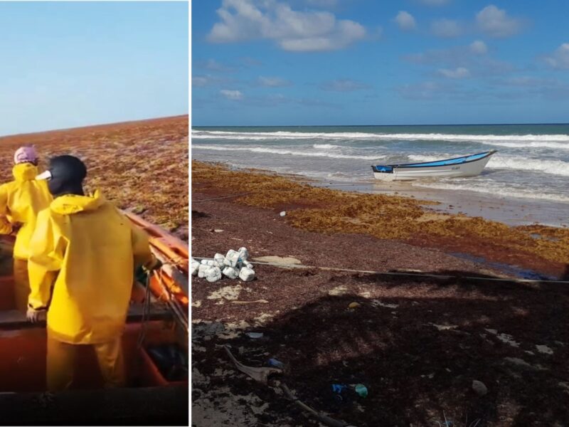 How climate stress is reshaping the fishing sector in Barbado