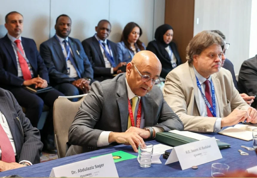 GCC maritime route security remains a key priority for regional stability and global trade