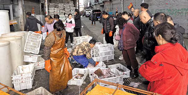 Fishing industry in North Korea 
