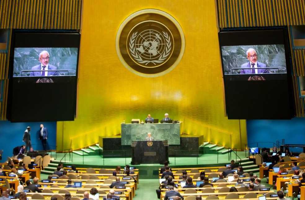 2026 United Nations Water Conference: organizational session