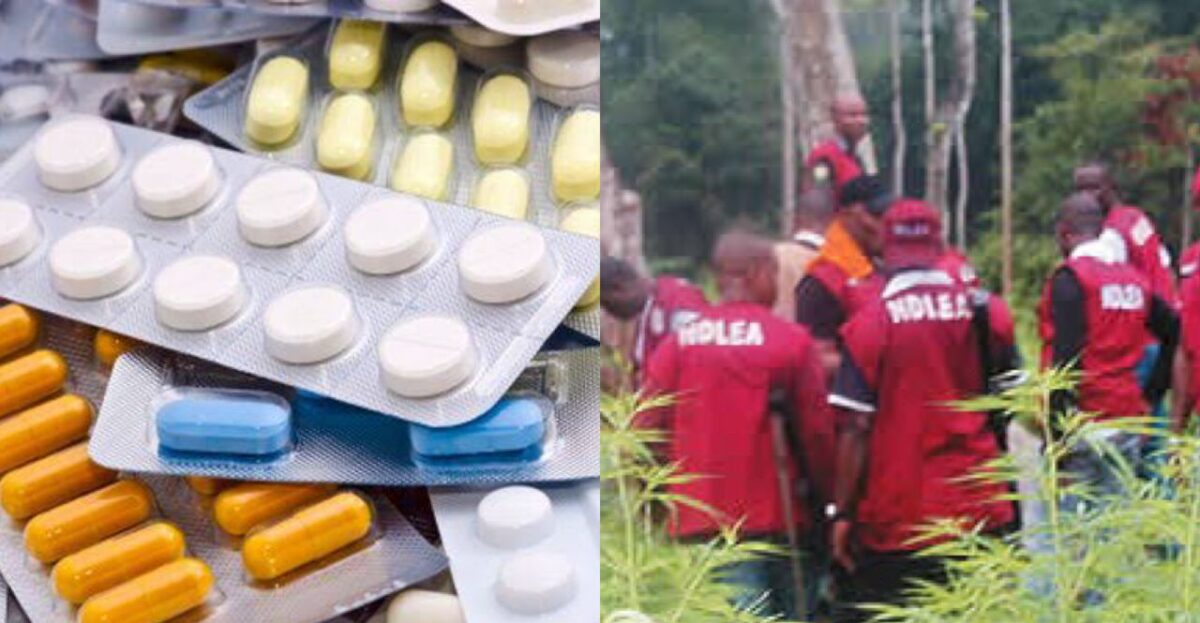 NDLEA Officers Shot During Drug Raid