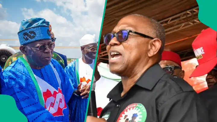 Go back to your retirement Home.” ~ Peter Obi shades Tinubu: “stop giving Nigerians excuses