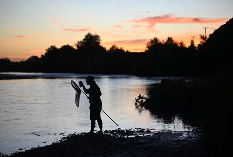 Mayflies have crazy, acrobatic sex
