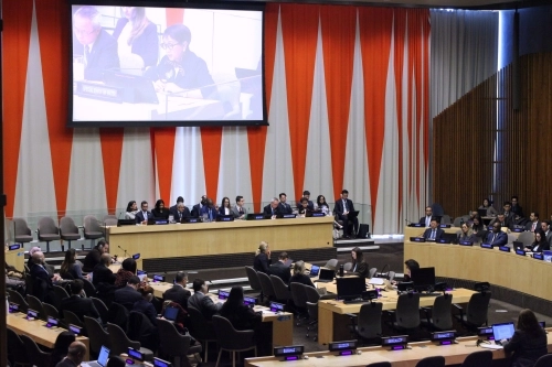 2026 United Nations Water Conference: organizational session
