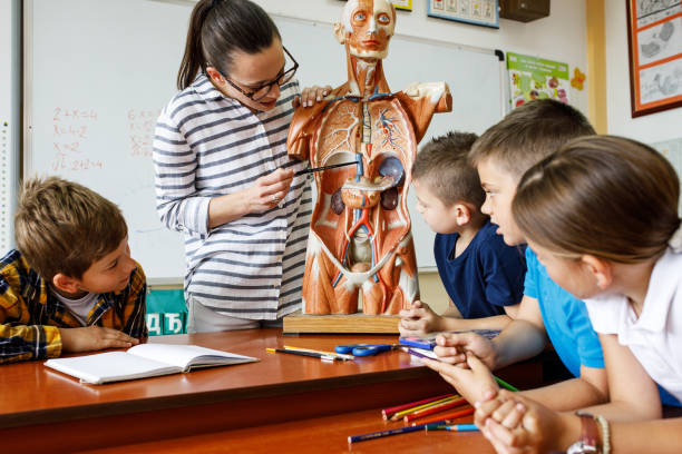  Biology Teacher 