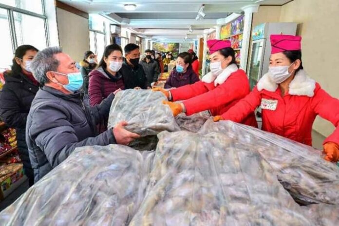 North Korea fishing quota crackdown unloading seafood at a coastal port under state supervision