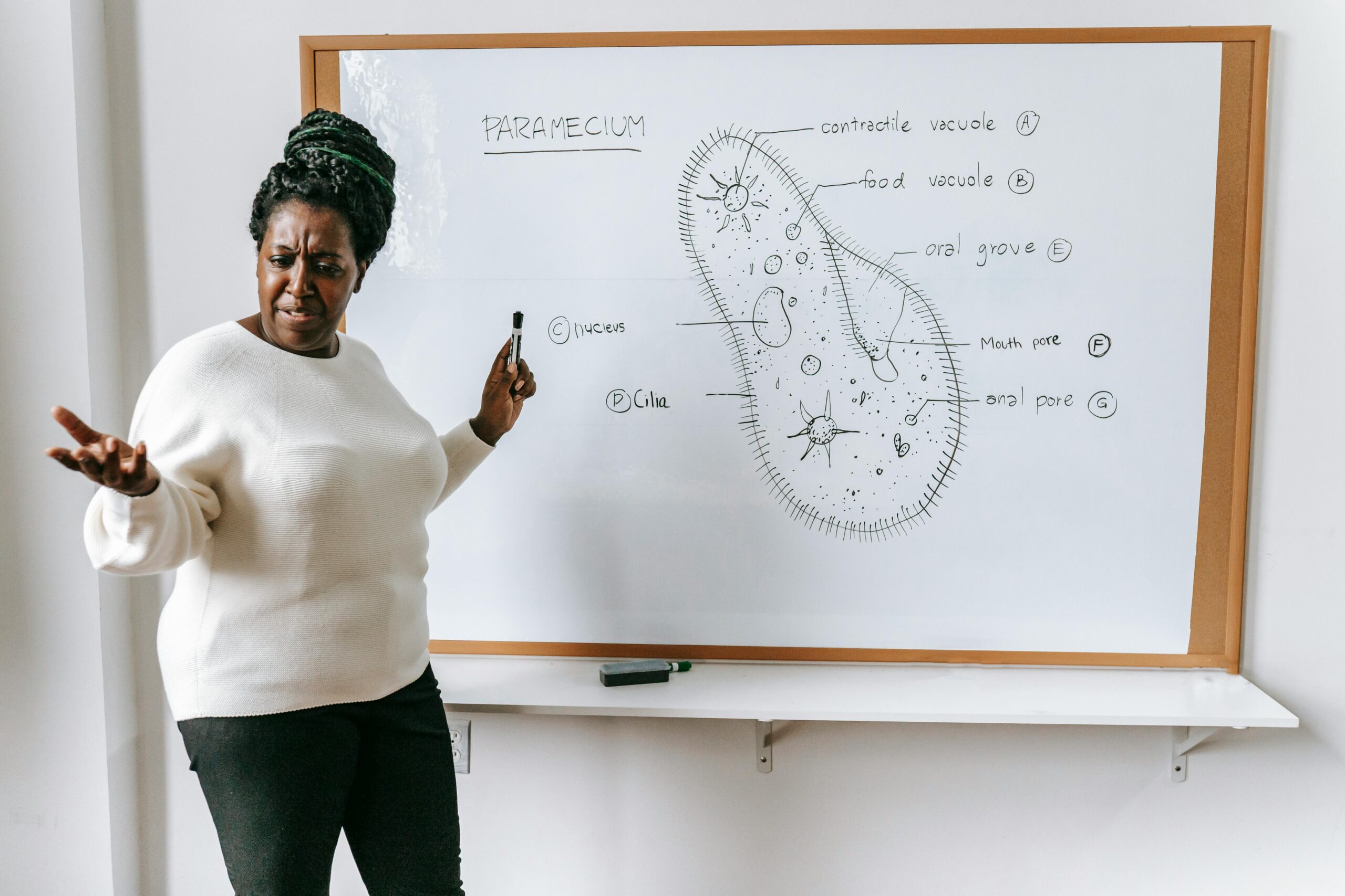 biology teacher job abuja fct explaining science concepts in a classroom