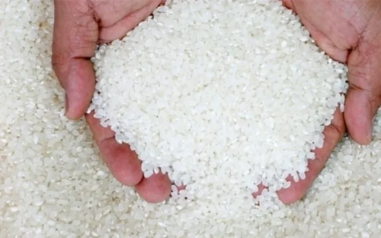 Chinese rice aid to Cuba during economic crisis