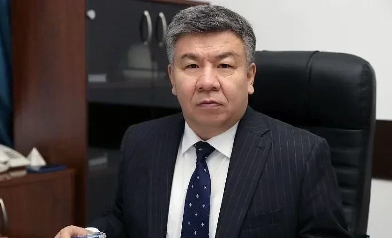 Head of Tax Service Shykmamatov named honorary President of Kyrgyzstan's professional boxing league