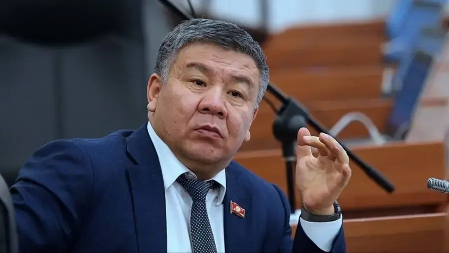 Head of Tax Service Shykmamatov named honorary President of Kyrgyzstan's professional boxing league