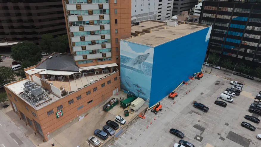 Artist suing FIFA over destruction of Dallas whale mural before World Cup