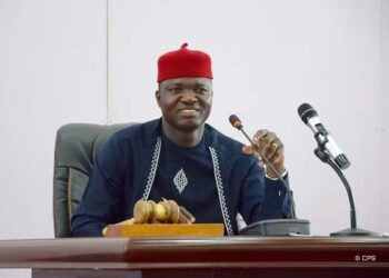 Ebonyi Gov Nwifuru faces backlash over 'offensive' language