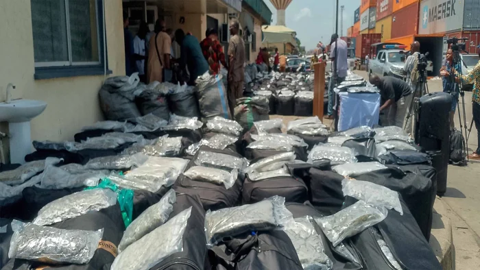 NDLEA seizes N12.4bn cannabis at Lagos Port, busts drug syndicate targeting passengers