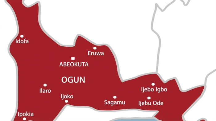 Ogun illegal immigrants arrest by Nigerian Army troops during security operation