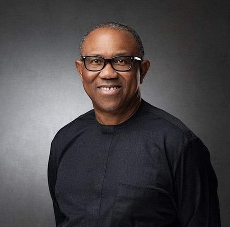 How we can build Nigeria of our dreams — Peter Obi