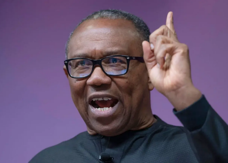 Obi warns against Nigeria's growing obsession with politics over enterprise