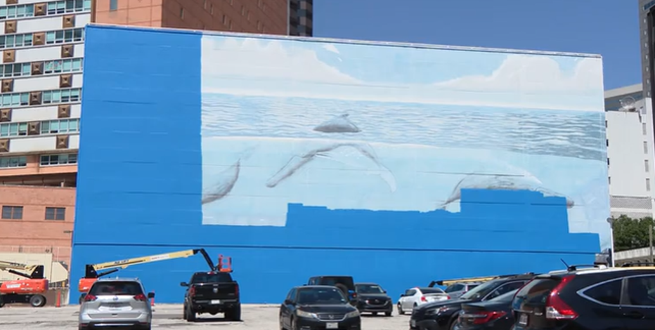Artist suing FIFA over destruction of Dallas whale mural before World Cup