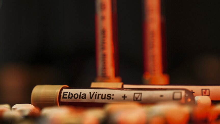 Japan Ebola outbreak aid