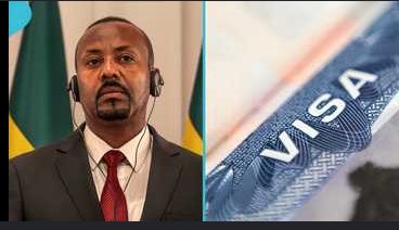 countries citizens can enter without a visa