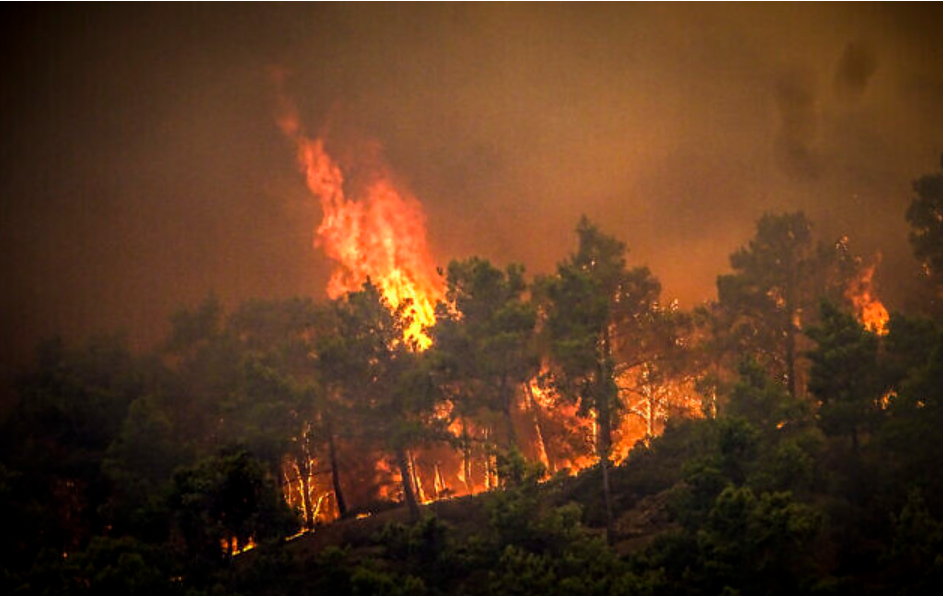 Wildfire Evacuation Across Greece
