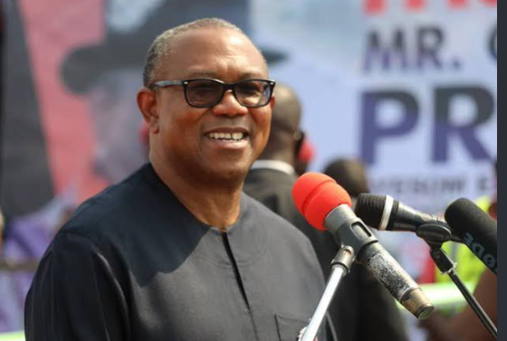 Peter Obi supporters gather ahead of Nigeria’s 2027 election.